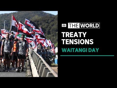 Protests on New Zealand’s national day as government looks to review parts of treaty | The World [Video]