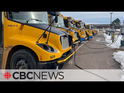Why some P.E.I. school bus drivers aren