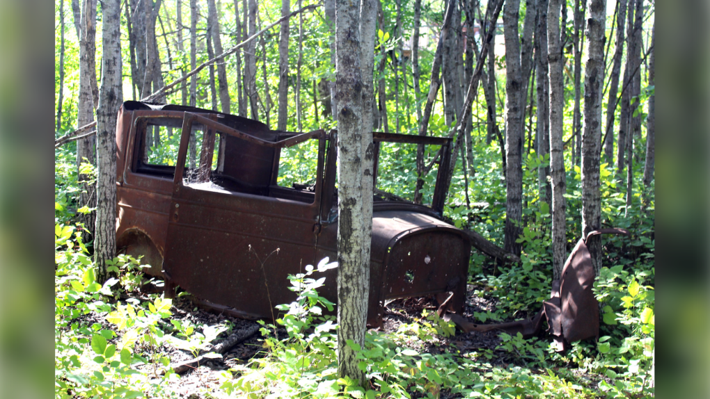 Why there are abandoned cars in the Assiniboine Forest [Video]