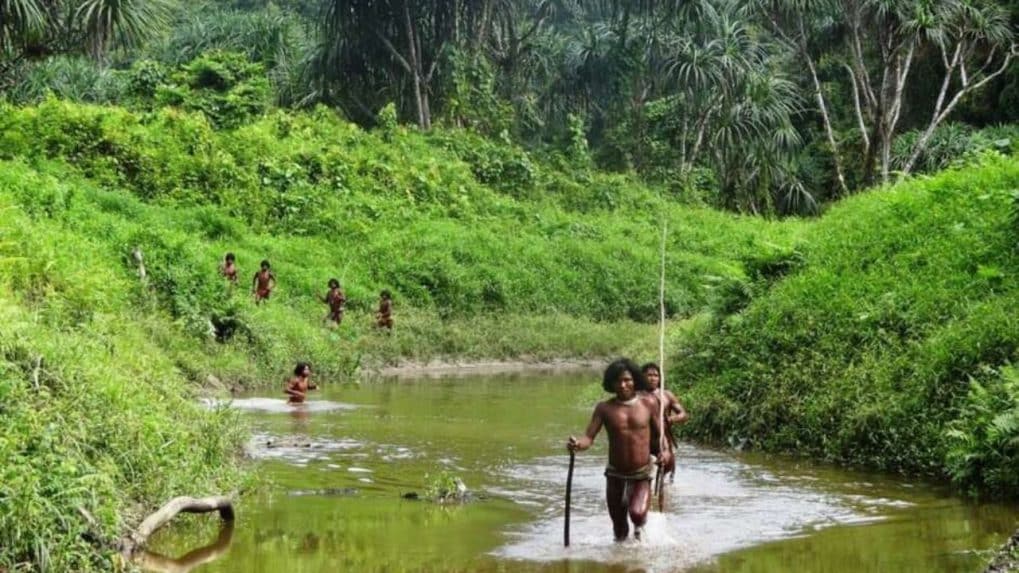 Great Nicobar tribe faces genocide if mega project goes ahead, experts write to President Murmu [Video]