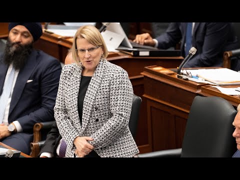 Ontario minister Sylvia Jones heckled in parliament over alleged $4K purse purchase | WATCH [Video]