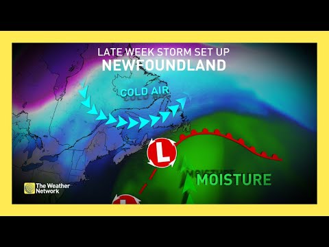 Heavy Snow and Ice Threaten Travel, Power Outages in Newfoundland [Video]
