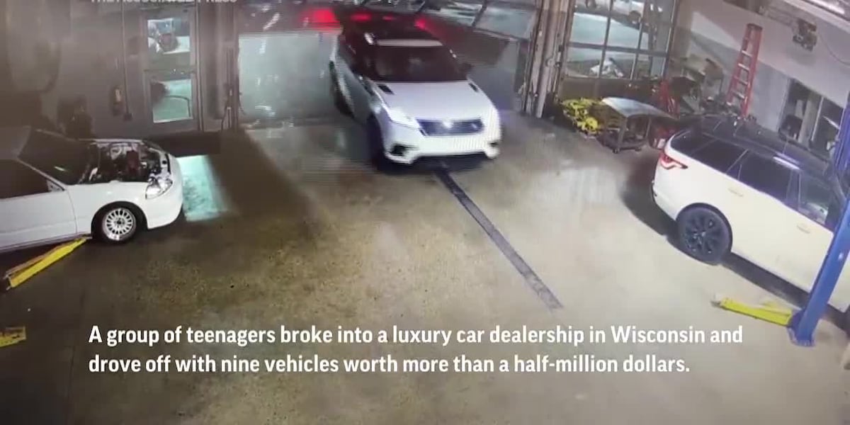 Teens broke into a luxury dealership and drove off with 9 cars [Video]