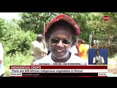 Agronomists say indigenous crops are nutritious [Video]