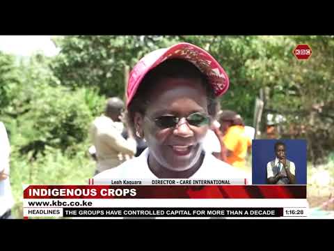 There are 200 African indigenous vegetables in Kenya [Video]