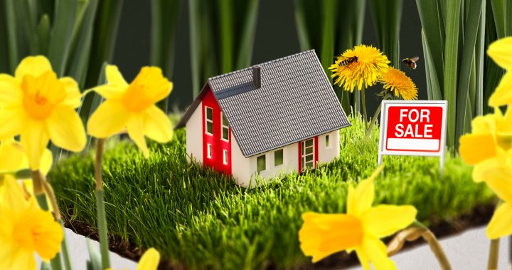 Will Ontarios spring real estate market be hot or cold? Here are signs to watch for [Video]