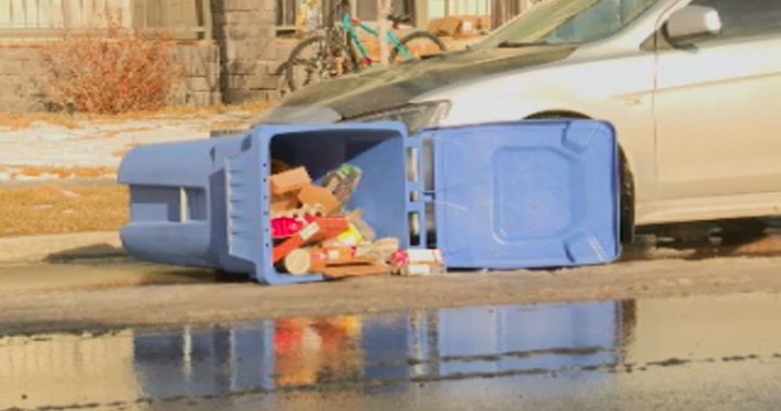 Pilot project aims to keep Lethbridge bins standing – Lethbridge [Video]
