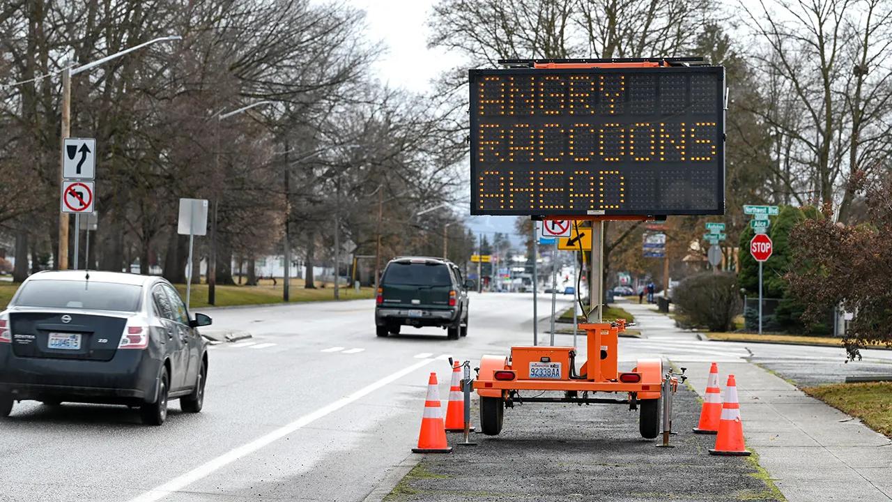 Sign in Washington is hacked to display warning about ‘angry raccoons’ [Video]