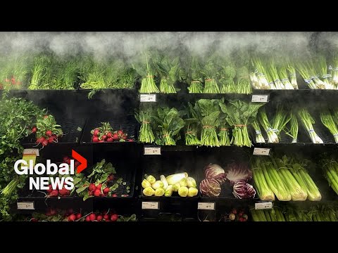 What can Canadians expect from food prices in 2024? [Video]