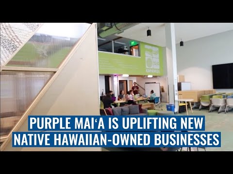 Purple Maiʻa is Uplifting New Native Hawaiian-Owned Businesses [Video]