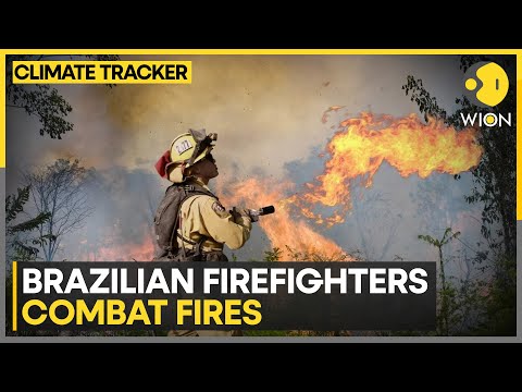 Brazilian Firefighters protect indigenous lands from further ruin | WION Climate Tracker [Video]