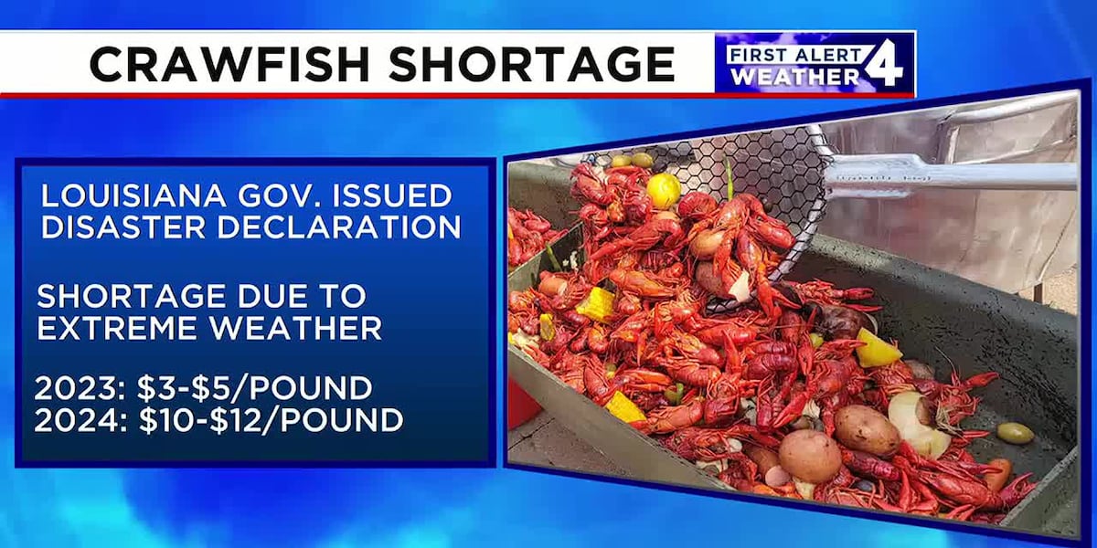 Why you may be paying more for crawfish this summer season [Video]
