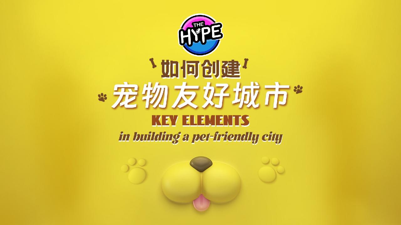 Key elements in building a pet-friendly city [Video]