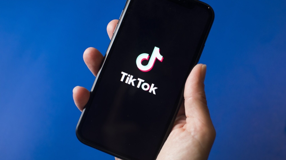 Everybody’s bringing their ‘A game’ to this TikTok battle: social media expert – Video