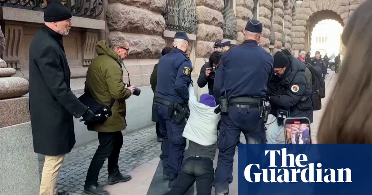 Greta Thunberg dragged by police from climate protest outside Swedish parliament  video | Environment