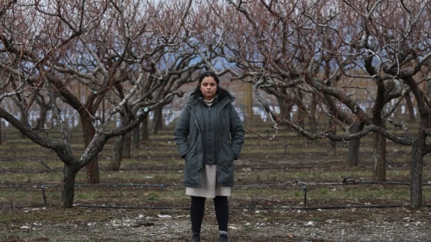 Record stone fruit losses forcing Okanagan farms to diversify [Video]