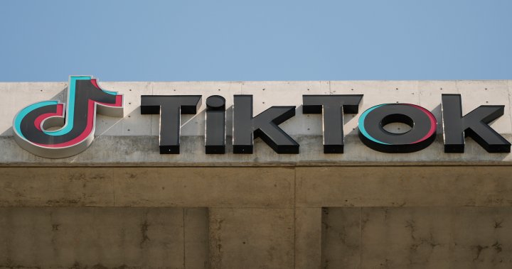 U.S. House votes to ban TikTok if Chinese owner doesnt sell app – National [Video]