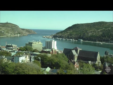 Webcam of Downtown St. John’s [Video]