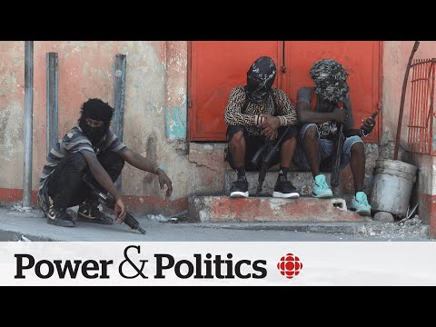 Canadians stuck in Haiti have long been aware of the dangers, says ambassador | Power & Politics [Video]