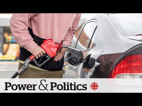 P.E.I. premier urges Trudeau to pause carbon tax hike | Power & Politics [Video]