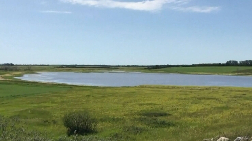 Sask.’s Lake Diefenbaker Irrigation Project to move forward [Video]