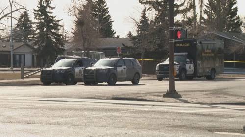 Standoff continues in southeast Calgary after police face gunshots [Video]
