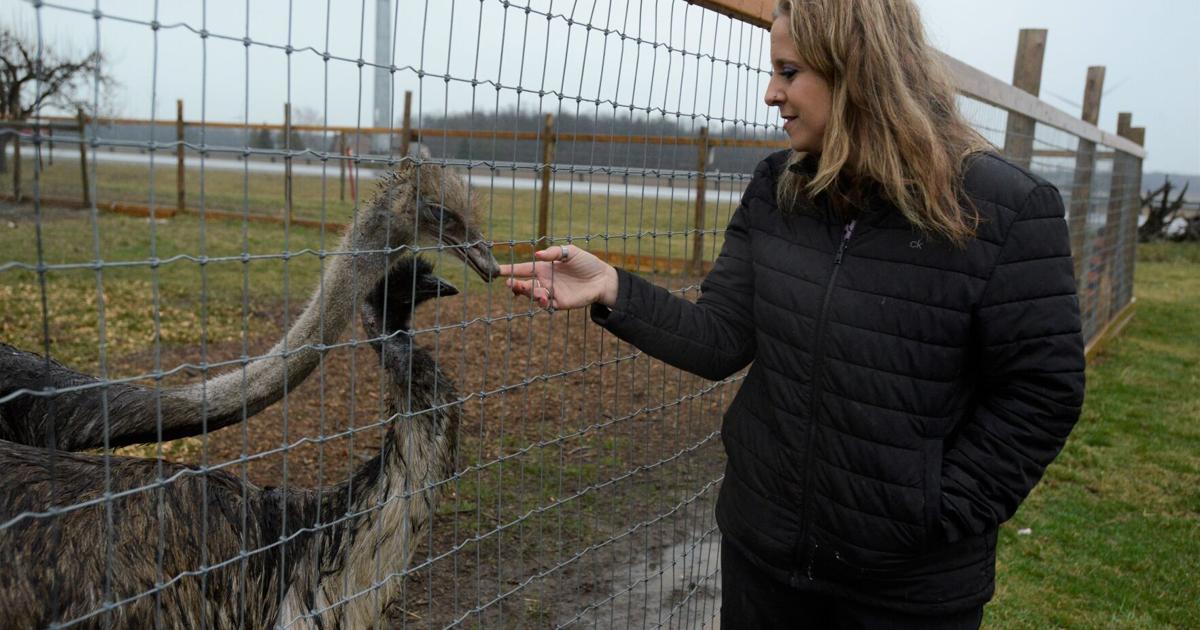Family grieving after intruders brutally kill pet emu [Video]