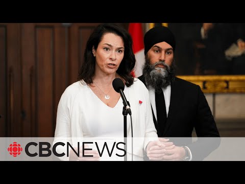 NDP motion calling on Canada to recognize Palestinian statehood [Video]