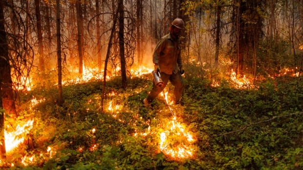 B.C. officials warn of early, ‘challenging’ wildfire season [Video]