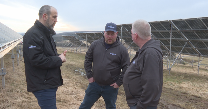 New Brunswick dairy farm offsets electric bill with solar power – New Brunswick [Video]