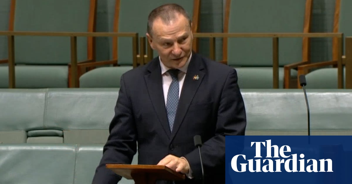The world is watching: Labor MP calls out ‘deliberate obstruction’ of aid to Gaza  video | Australia news