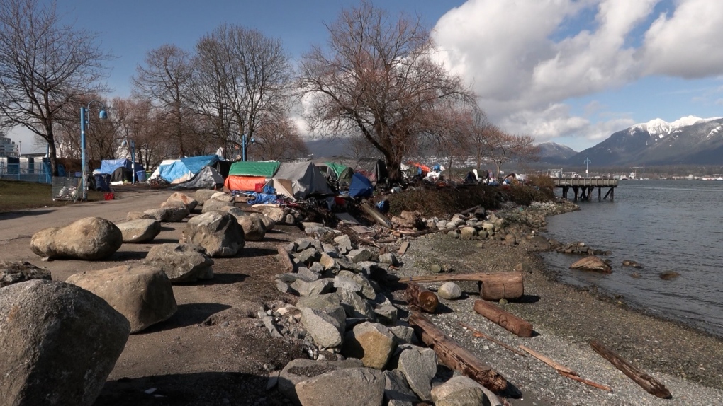 Advocate slams Vancouver’s cleanup in CRAB Park [Video]