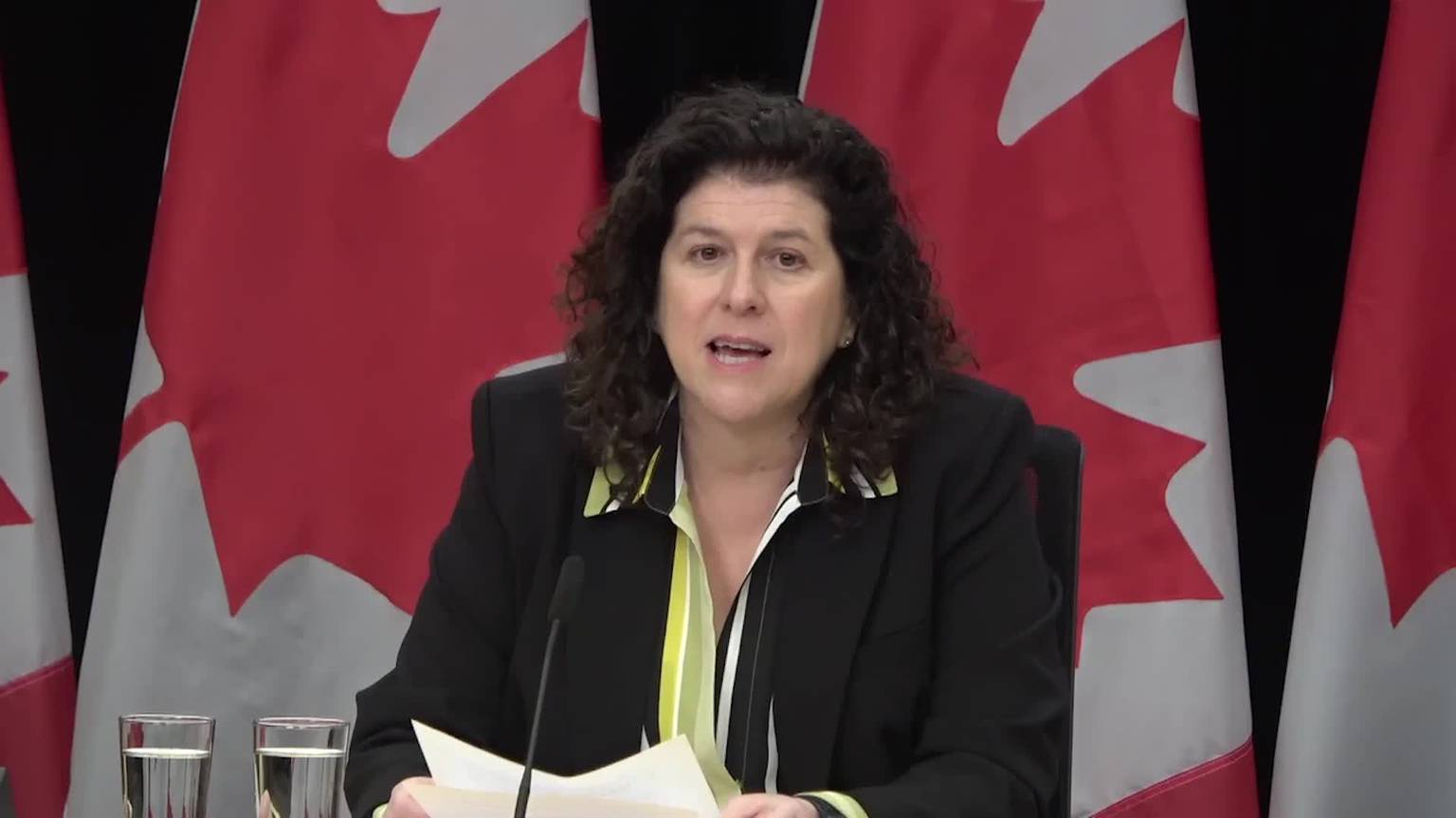 Video: Audit reveals distressing and persistent pattern of failure in First Nations federal programs [Video]