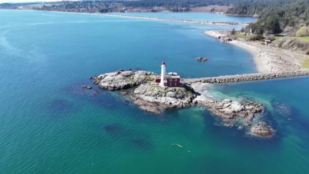Vancouver Island herring spawn generates excitement [Video]