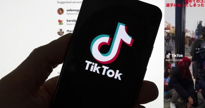 U.S. TikTok bill could get public hearing, Senate committee chair says – National [Video]