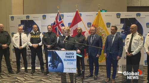 Peel Auto Theft Summit pushes federal government for help [Video]