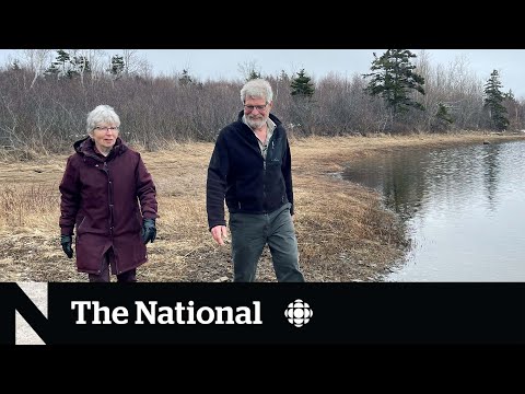 N.S. homeowners say they needs a coastal protection law, not plan [Video]