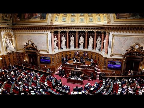 French Senate rejects EU-Canada free-trade agreement • FRANCE 24 English [Video]