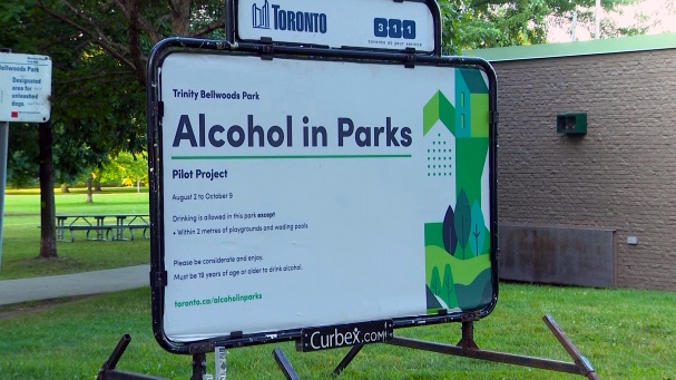 Toronto pilot allowing alcohol drinking in select parks could become permanent [Video]