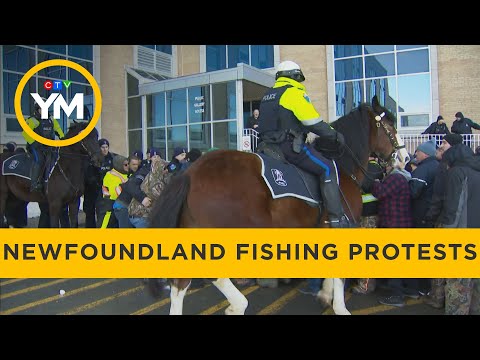 Fishing protests in Newfoundland continue | Your Morning [Video]