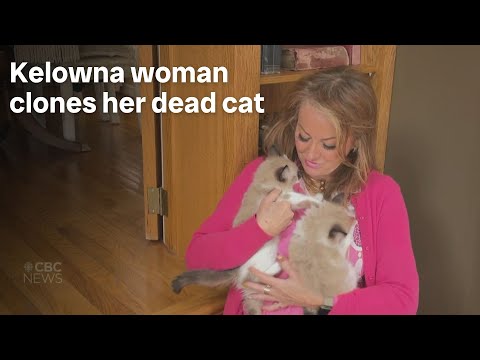 Woman gets 2 successful clones of her dead cat [Video]