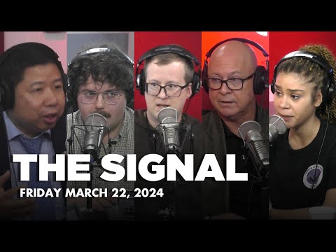 The Signal l Budget Reaction [Video]