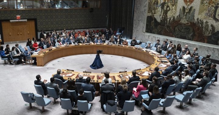 UN Security Council calls for ceasefire in Gaza, its 1st demand to halt fighting – National [Video]