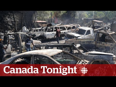 Ottawa’s assistance for Canadians in Haiti overdue, says non-profit director | Canada Tonight [Video]
