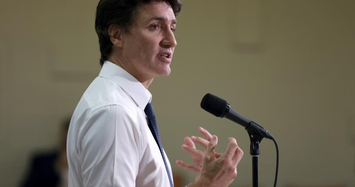 Trudeau open to other carbon pricing systems as premiers set to testify – National [Video]