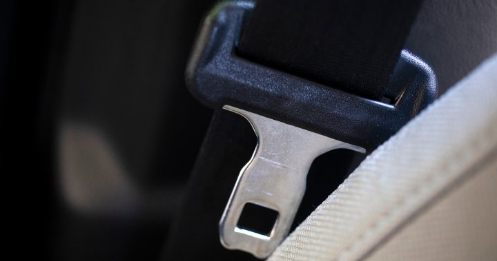 Quebec coroner recommends licence suspensions for seatbelt infractions – Montreal [Video]