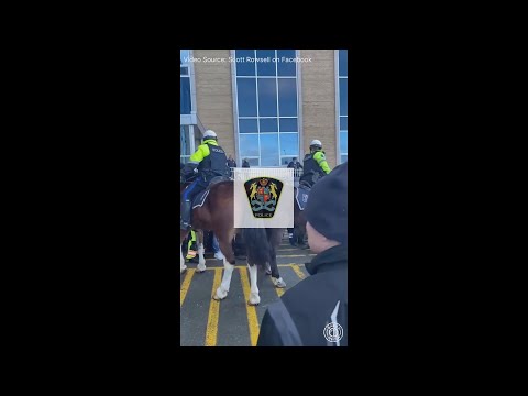St. John’s Newfoundland  Mounted police Officers used EXCESSIVE FORCE on Fish harvesters on 3/20/24! [Video]