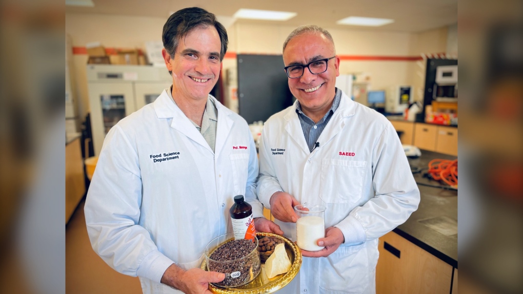 How University of Guelph researchers are working to bring down the cost of chocolate [Video]