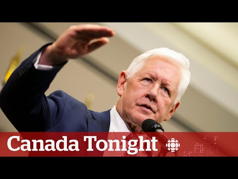 Canada will continue to press for ceasefire in Gaza: UN ambassador | Spotlight [Video]