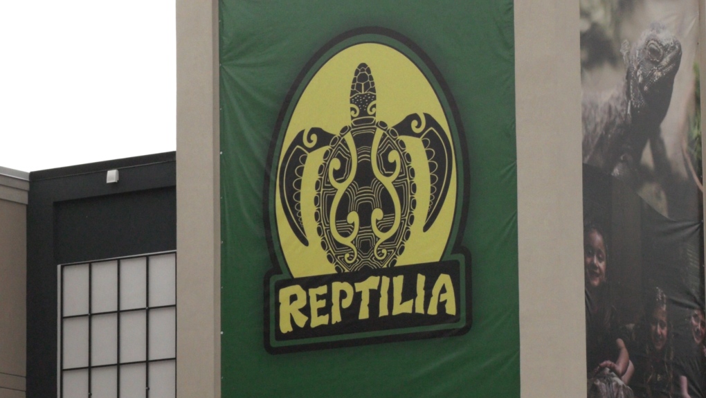 Council considers resolution with Reptilia, critics speak out [Video]